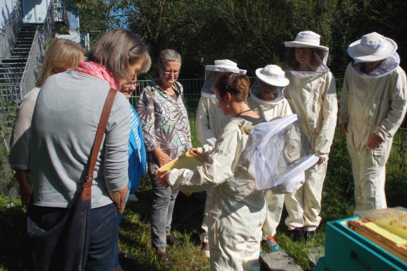  „Bienen im Schulgarten“ an der Johann-Comenius-Schule in Thesdorf